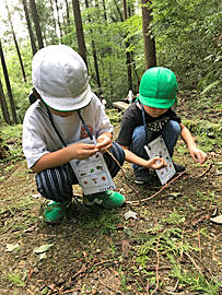 5歳児園外保育　油山市民の森