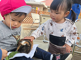 移動動物園